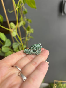 Tree Agate Crystal Dragon Head Carving