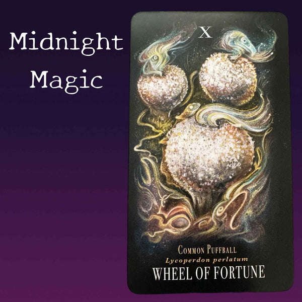 Tarot Reading – Written