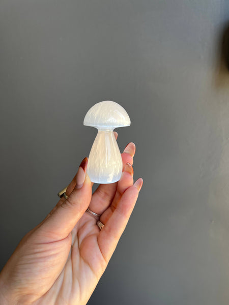 Mushroom Selenite Crystal Carving