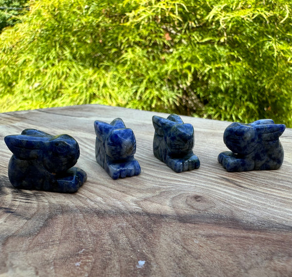 Sodalite Crystal Bunnies